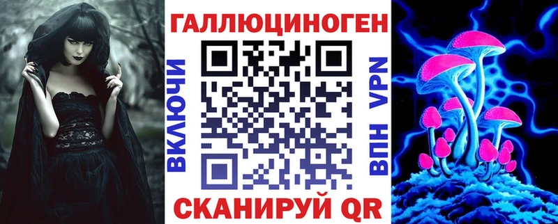 где можно купить   Россошь  Псилоцибиновые грибы GOLDEN TEACHER 