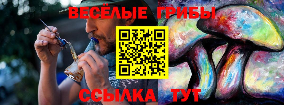 Россошь  Псилоцибиновые грибы Cubensis  Вход с VPN  Галлюциногенные грибы Psilocybine cubensis 